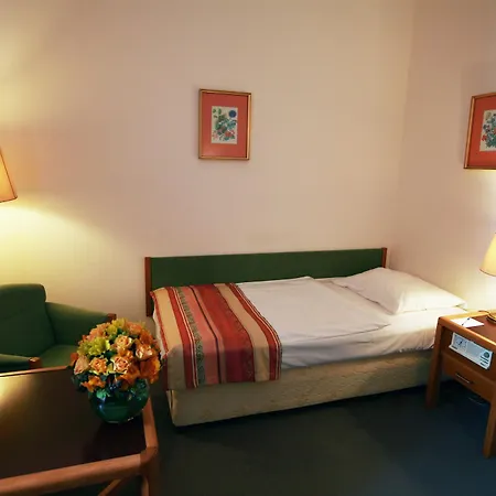 Hotel Danubius Raba Gyor
