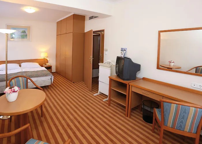 Danubius Raba Hotel Győr