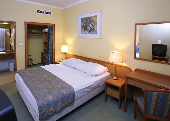 Hotel Danubius Raba 3*